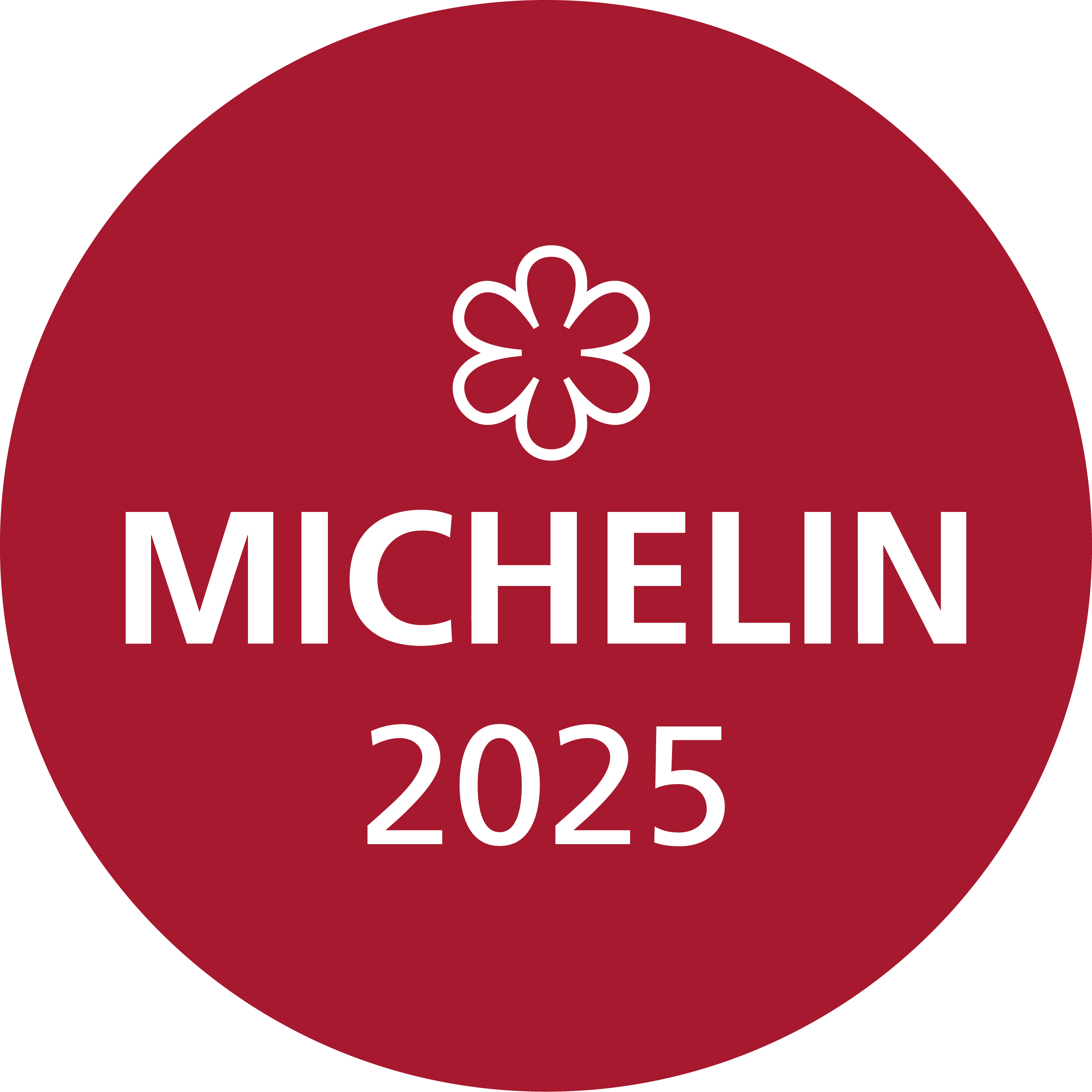 MICHELIN GUIDE  TOKYO 2025 1つ星獲得